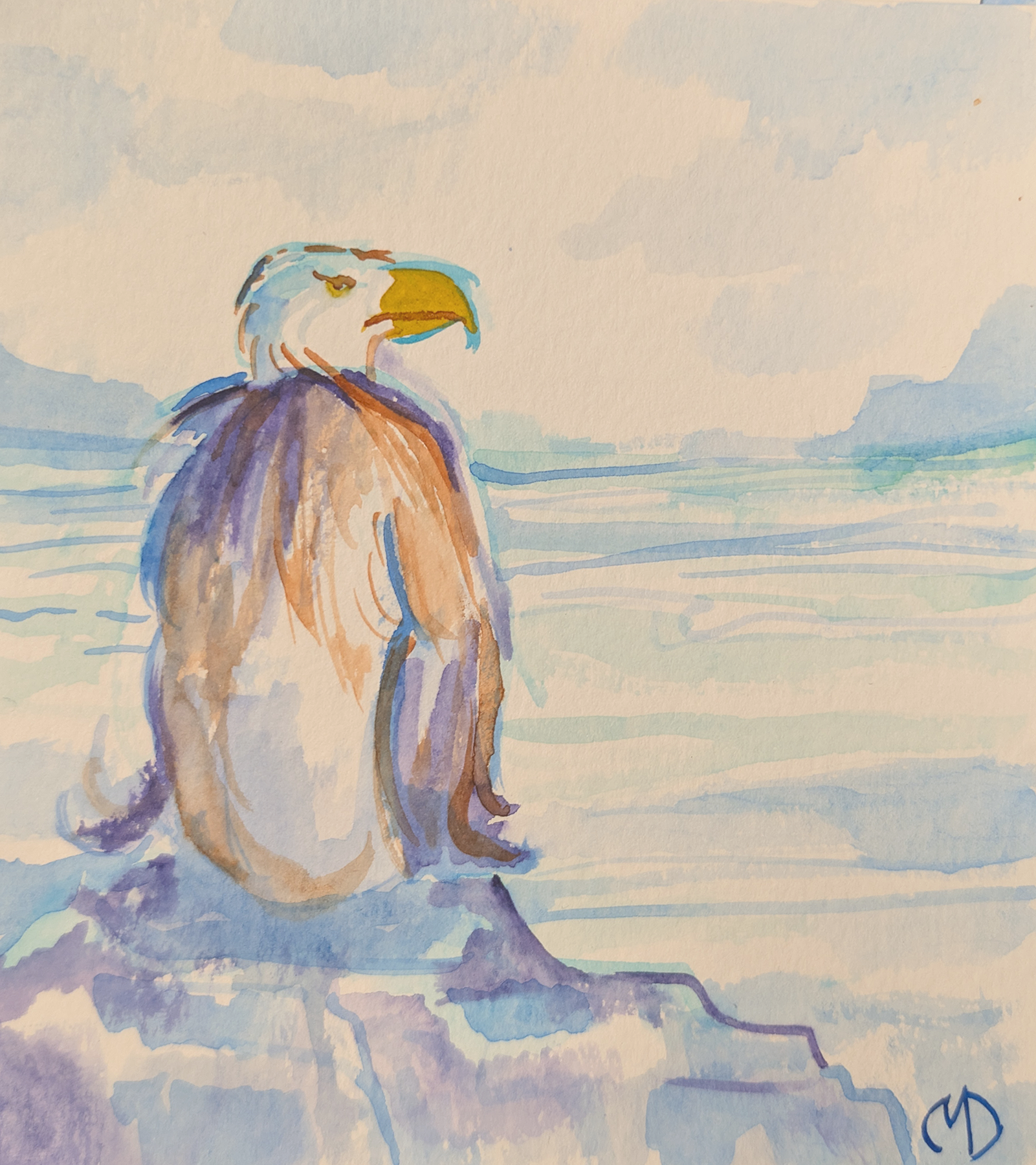 Eagale on Ice